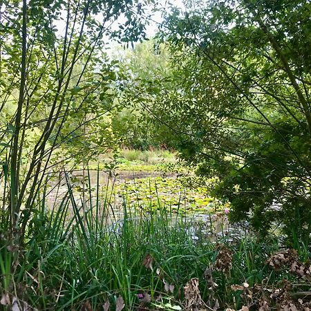 Eikenburg B&B Eindhoven Exteriér fotografie