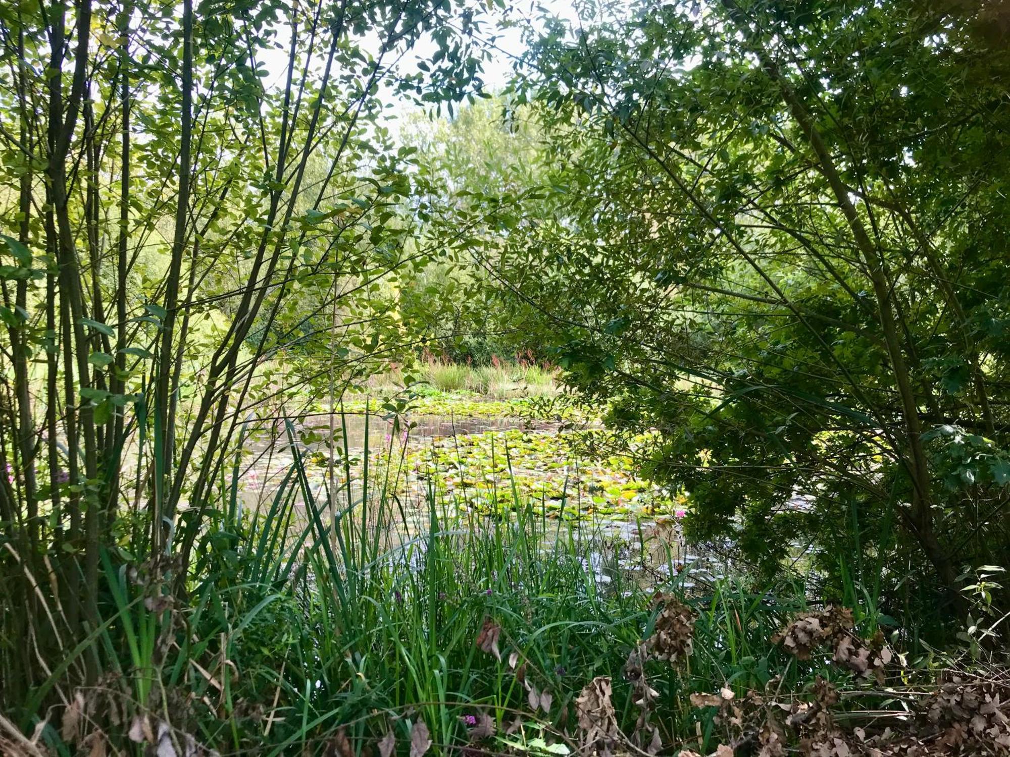 Eikenburg B&B Eindhoven Exteriér fotografie